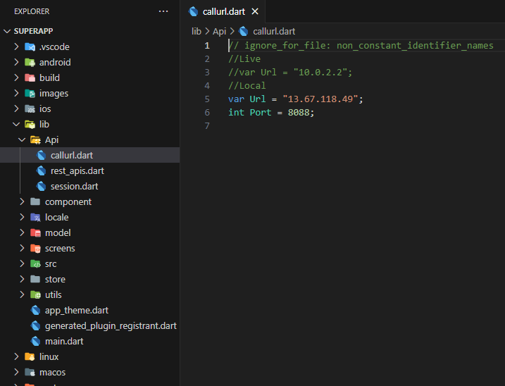 Flutter API URL Configuration